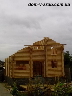 Log buildings under construction_105