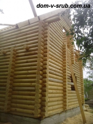 Log buildings under construction_112